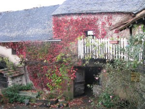 The balcony in Autumn