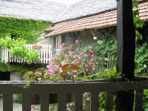 View from the balcony